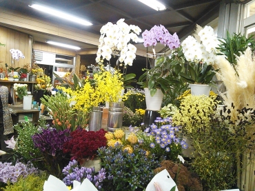 「大竹生花店」　（神奈川県横浜市中区）の花屋店舗写真4