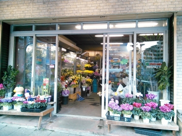 「大竹生花店」　（神奈川県横浜市中区）の花屋店舗写真1